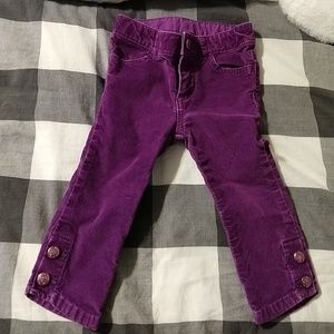 Baby Gap purple velvet pants